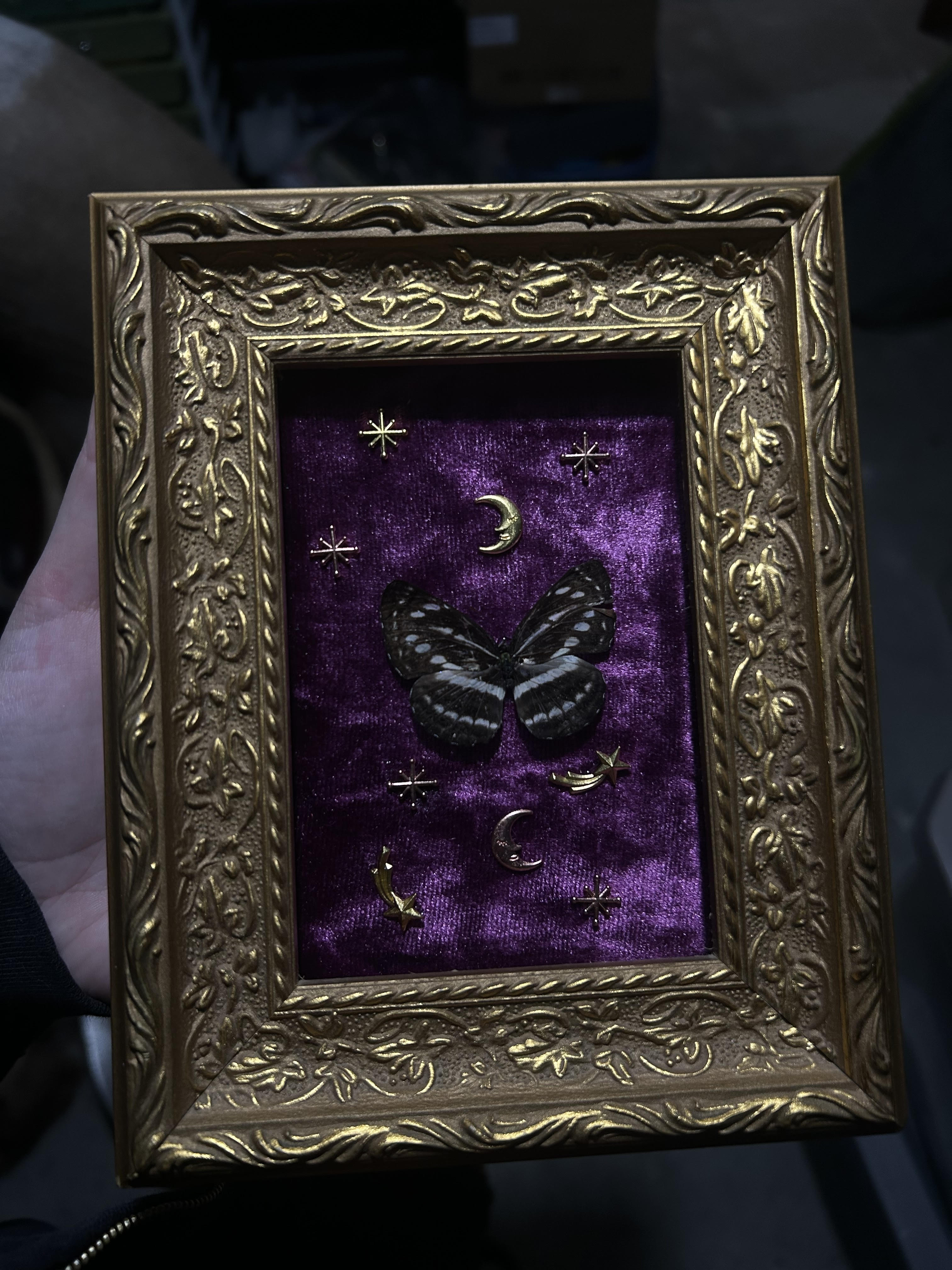 Whimsy in Purple